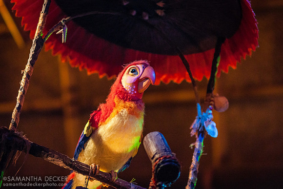 The Enchanted Tiki Room, Magic Kingdom