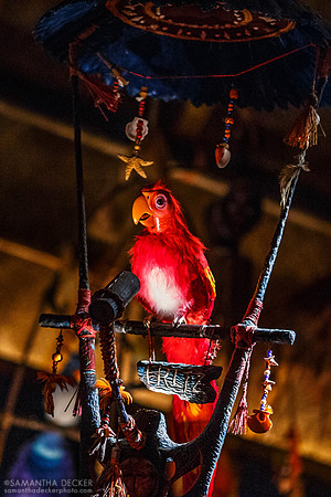 The Enchanted Tiki Room, Magic Kingdom