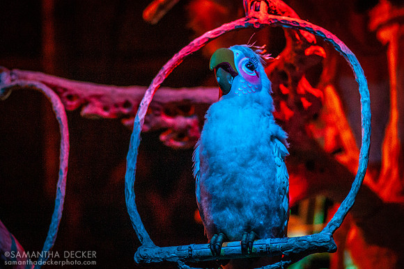 The Enchanted Tiki Room, Magic Kingdom