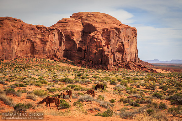 Monument Valley