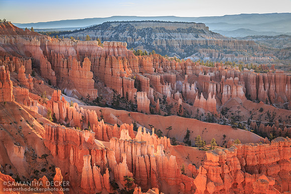 Hoodoos for Days, Bryce Canyon National Park
