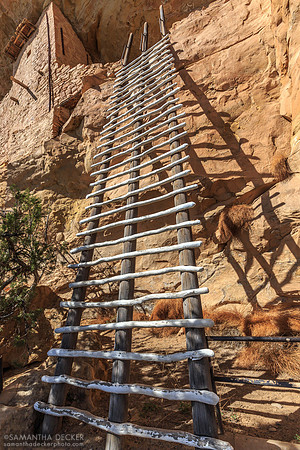 Climb This Ladder