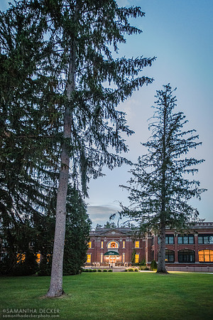 The Grove, June 2020
