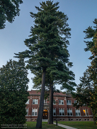 The Grove, September 2019 (little did I know, less than a year before I would be living there)
