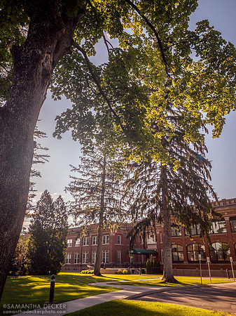 The Grove, June 2020