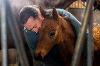 Sean Mahoney and Hennyville's final foal, a Warrior's Charge filly named Roxanne, Mahoney Eden Manor