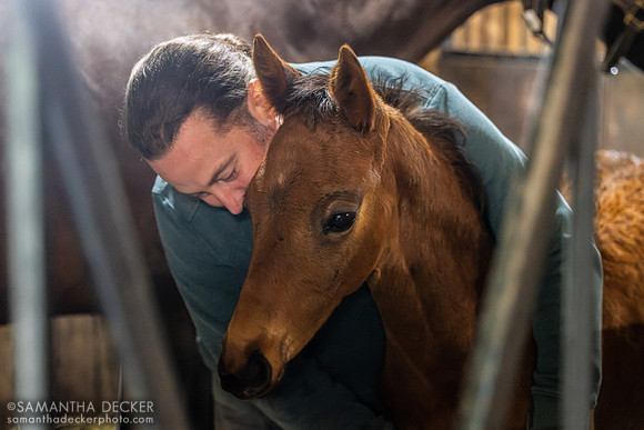 Sean Mahoney and Hennyville's final foal, a Warrior's Charge filly named Roxanne, Mahoney Eden Manor