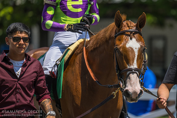 Carl Spackler w/Tyler Gaffalione win the Kelso S.
