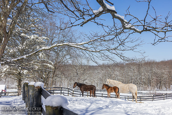 Winter Wonderland at Mahoney Eden Manor, Saratoga Springs, NY