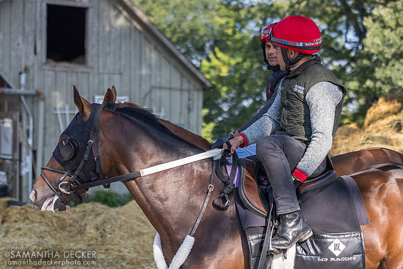 Joel Rosario on a Melanie Giddings trainee