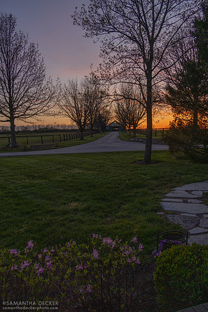 Denali Stud, Paris, KY