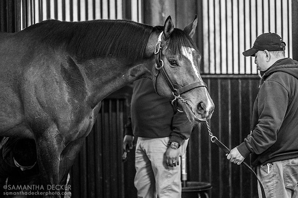 Newgate, Three Chimneys Farm, Midway, KY