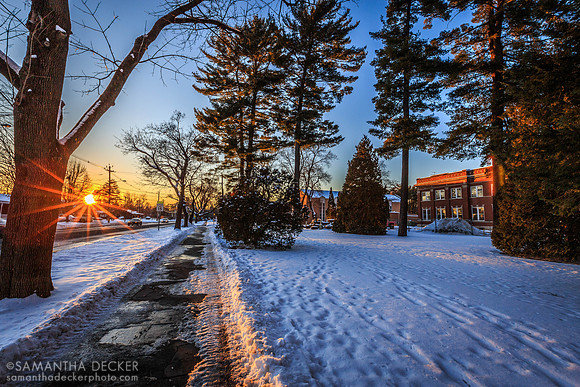 The Grove, January 2015