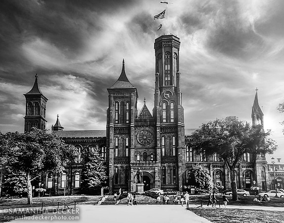 Digital Art:  Smithsonian Institution