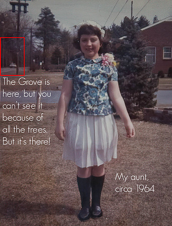 The Grove, 1964