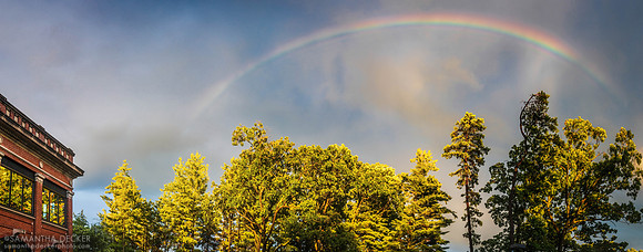 A Rainbow Over the Grove, Saratoga Springs, NY, 2020