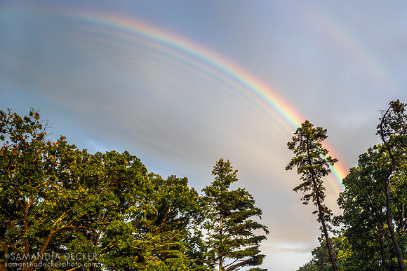 Rainbow, Saratoga Springs, NY, 2020