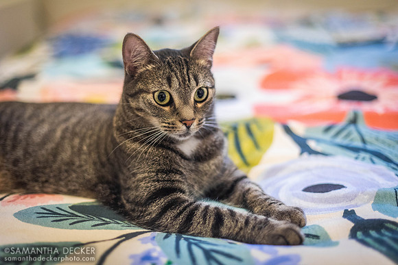 Fran on Our New Bed