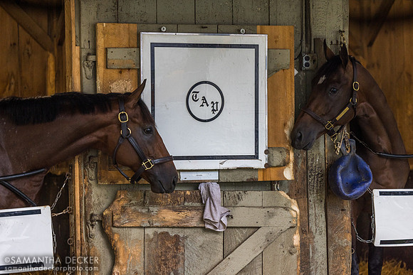 Uncaged (left) and Acknowledge (2024 photo)
