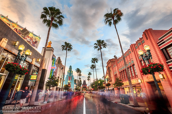 Gotta Love That View Down Hollywood Boulevard, Disney's Hollywood Studios