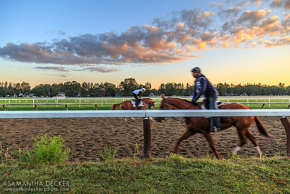 Early Morning Workout at the Oklahoma Track, 2013