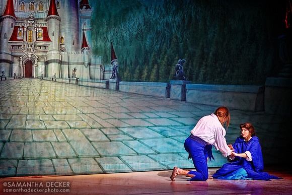 Beauty and the Beast Live on Stage, Disney's Hollywood Studios