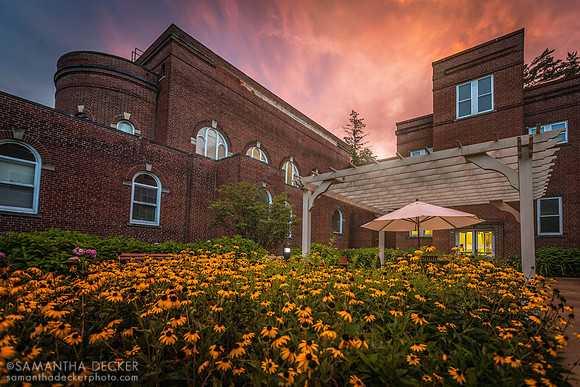 Beautiful Light Over the Grove