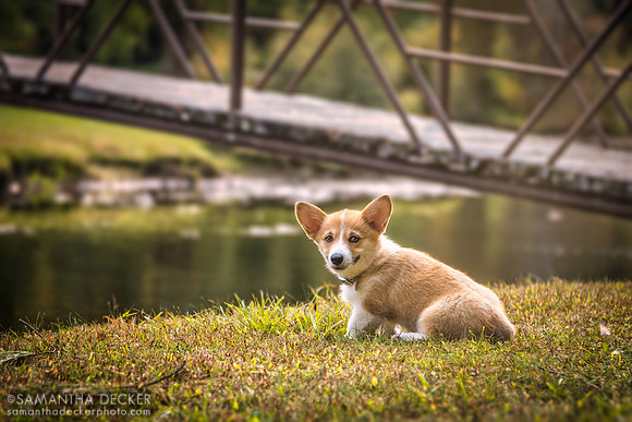 Aloy, Crandall Park, Glens Falls