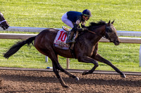 Sierra Leone wins the Grade I Blue Grass Stakes at Keeneland, 2024