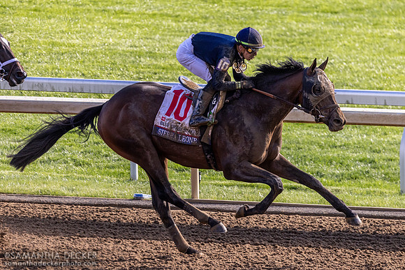 Sierra Leone wins the Grade I Blue Grass Stakes at Keeneland, 2024