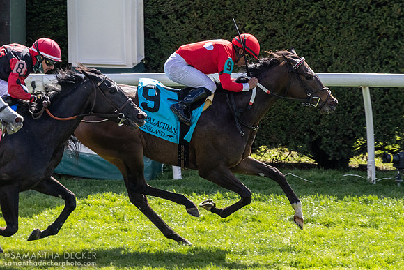Buchu wins the Grade II Appalachian Stakes at Keeneland