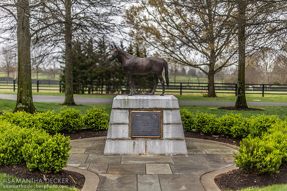 Affirmed, Jonabell Farm, Lexington, KY