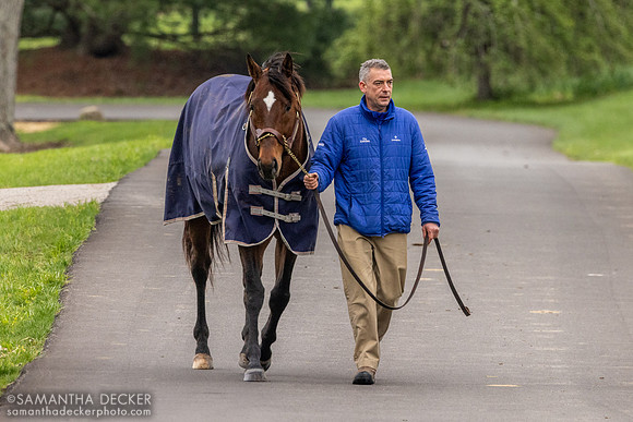 Cody's Wish, Jonabell Farm, Lexington, KY