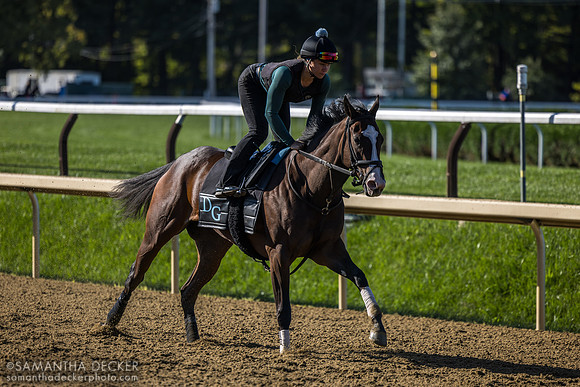 Priscilla Schaefer on Twilight Tango
