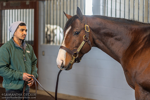 Complexity, Airdrie Stud, Midway, KY