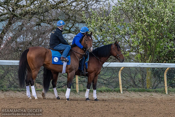 Trainer Brendan Walsh gives Pretty Mischievous a hug at Keeneland, 2024