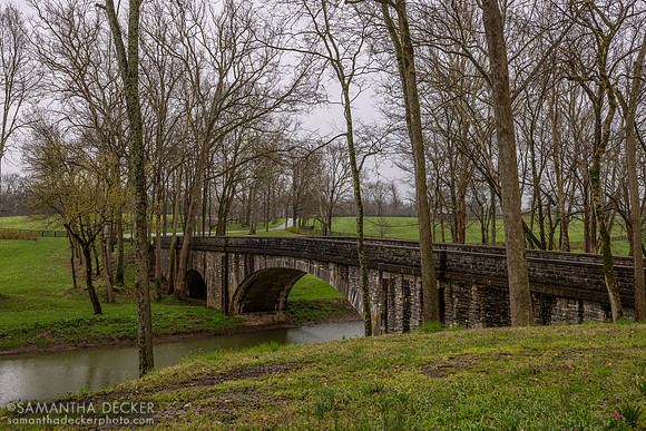 Hill 'n' Dale Farms, Paris, KY
