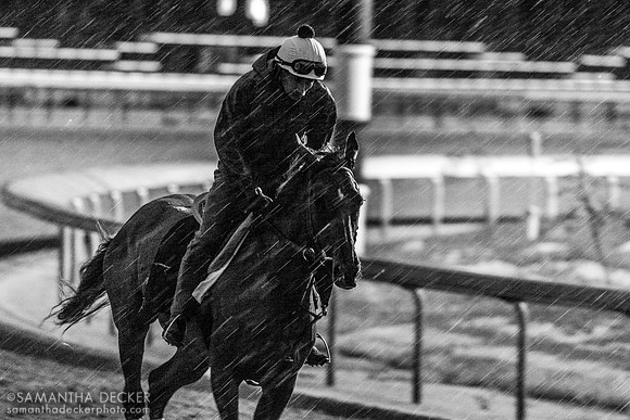 Morning works at Churchill Downs