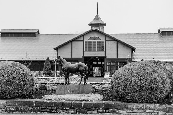 Hill 'n' Dale Farms, Paris, KY