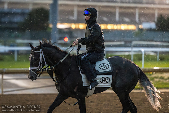 Morning works at Churchill Downs