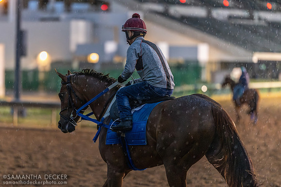 Morning works at Churchill Downs