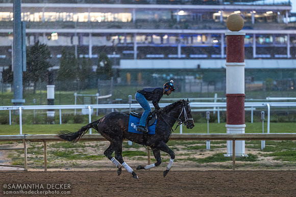 Morning works at Churchill Downs