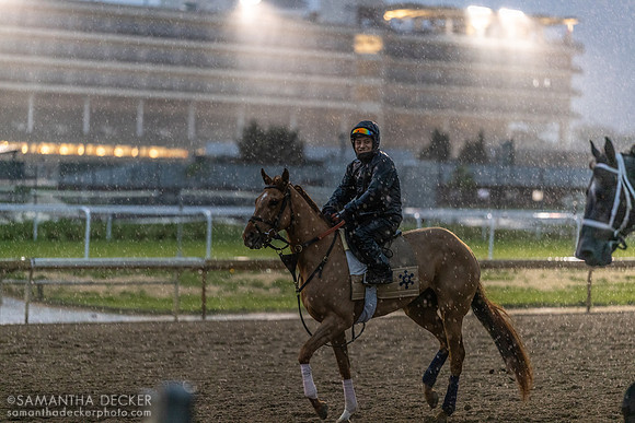 Morning works at Churchill Downs