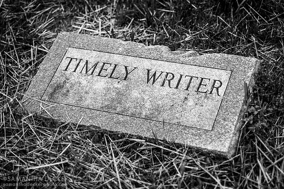 Timely Writer, Old Friends, Georgetown, KY