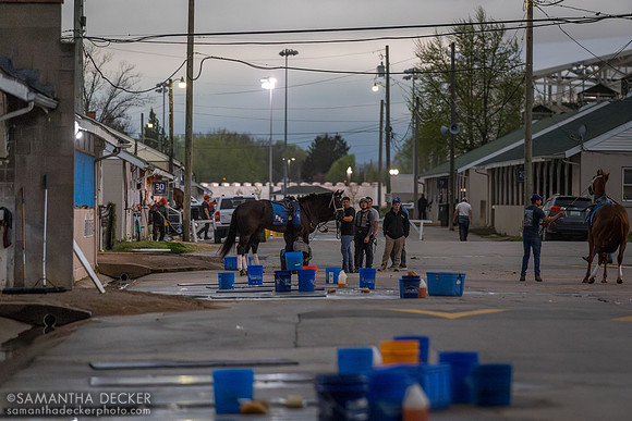 Brad Cox horse at Churchill Downs