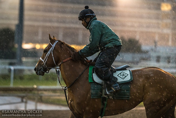 Morning works at Churchill Downs