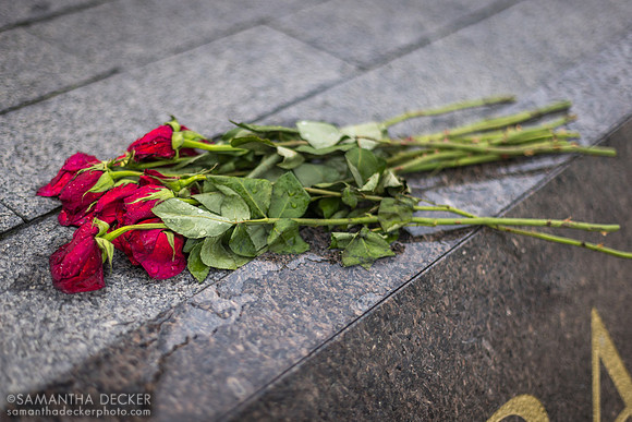 Roses for Barbaro at Churchill Downs
