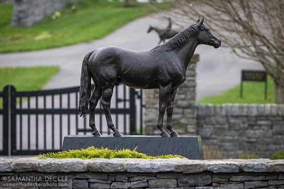 Curlin Statue, Hill 'n' Dale Farms, Paris, KY
