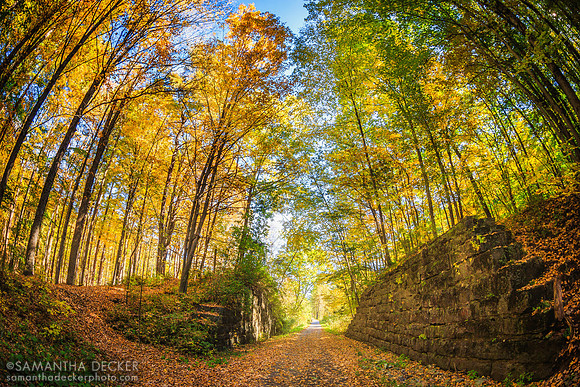 Spring Run Trail, Saratoga Springs, NY