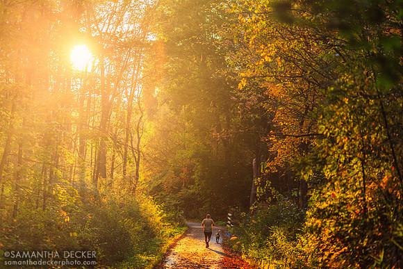 Spring Run Trail, Saratoga Springs, NY, 2016